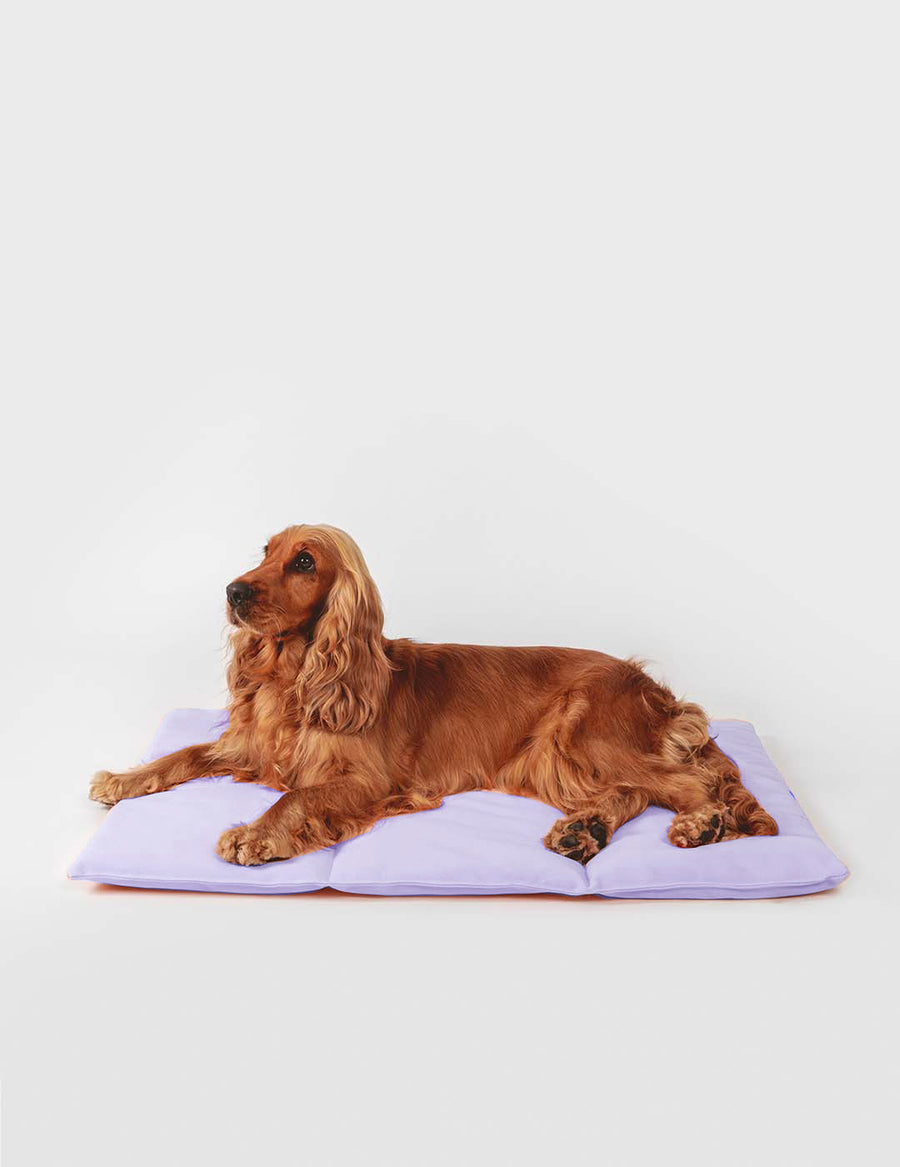 Nomad Bed