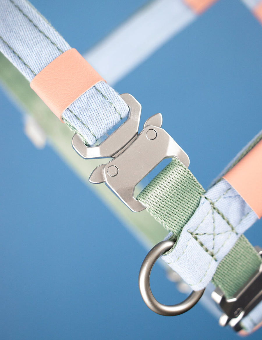 Air Harness - Canvas