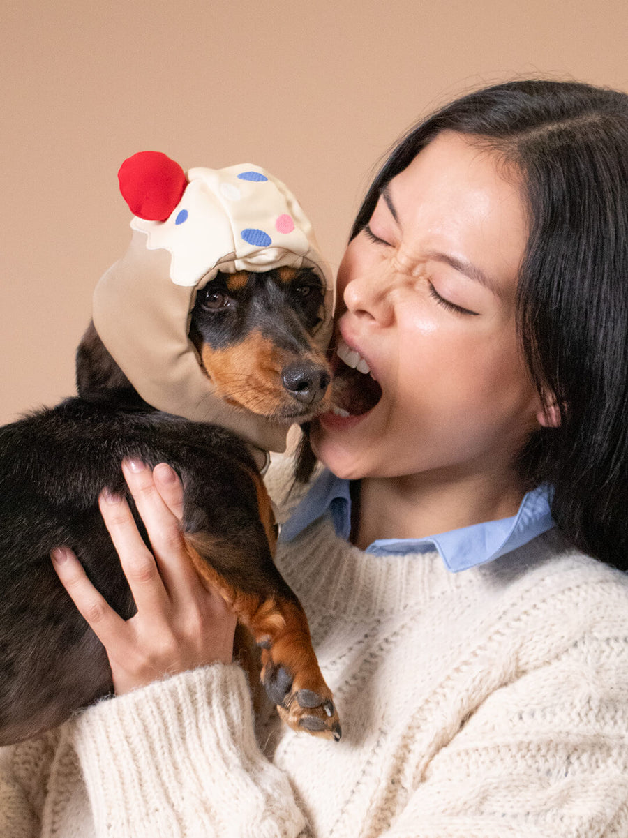 Chapas personalizadas para perros - Qisu Tags