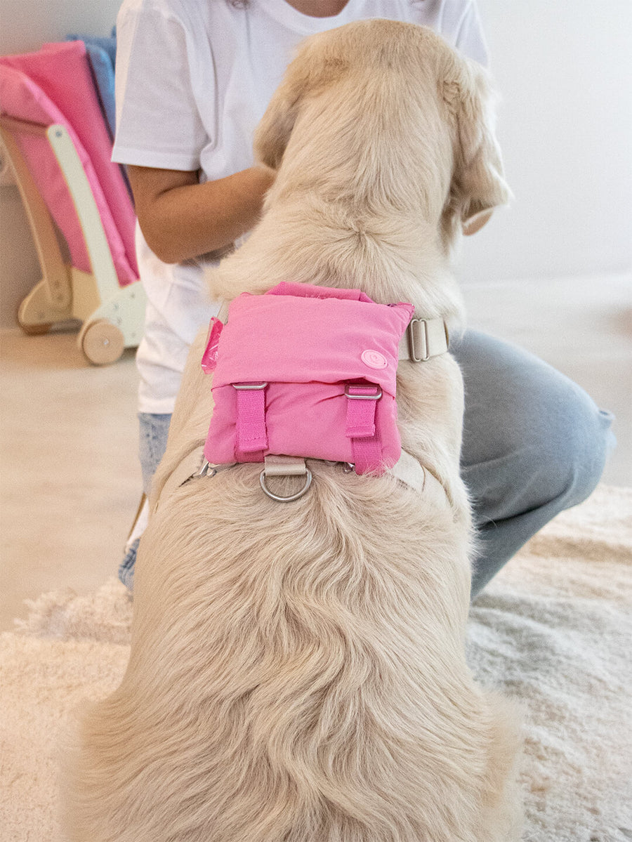 Doggy Daypack - Mochila para perro