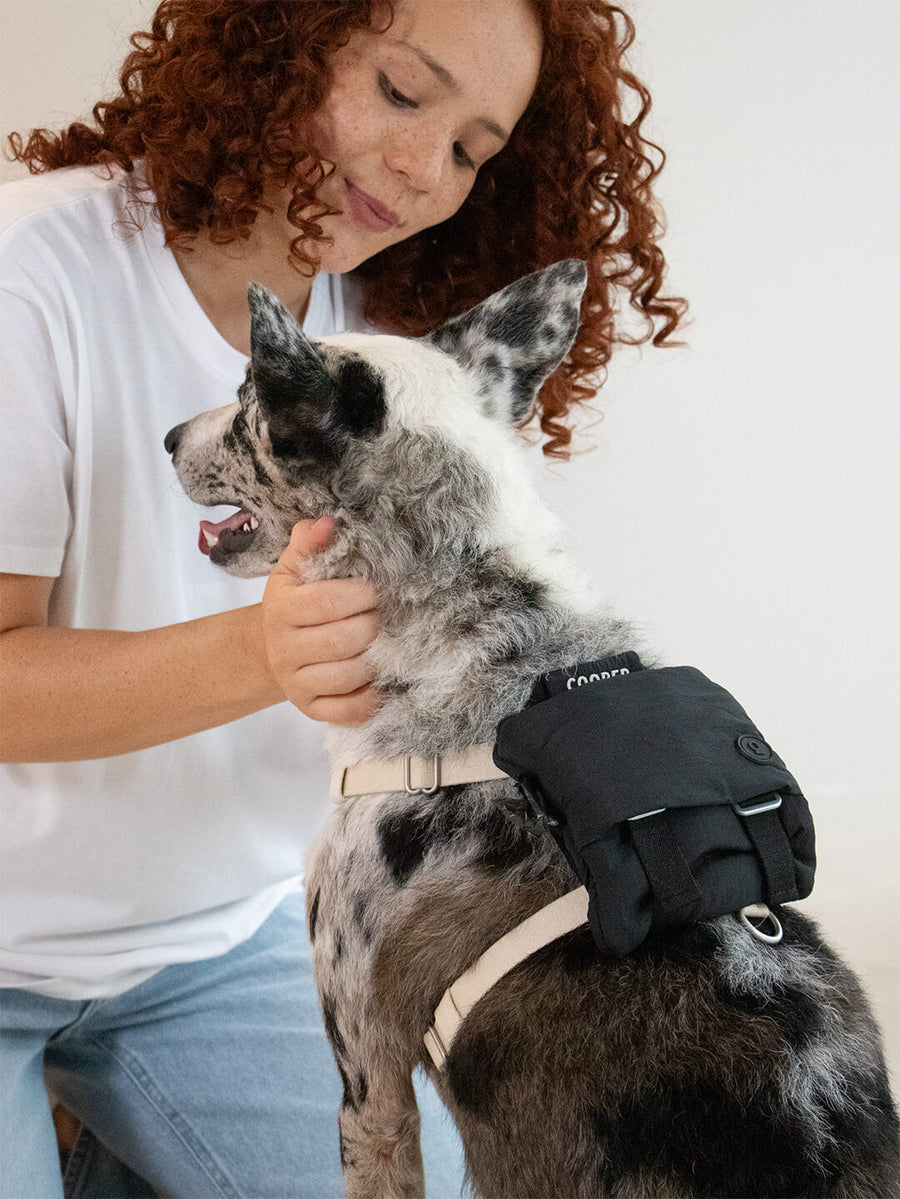 Doggy Daypack - Mochila para perro