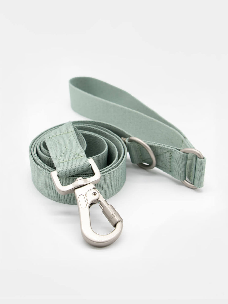 Hug Leash - Correa fija