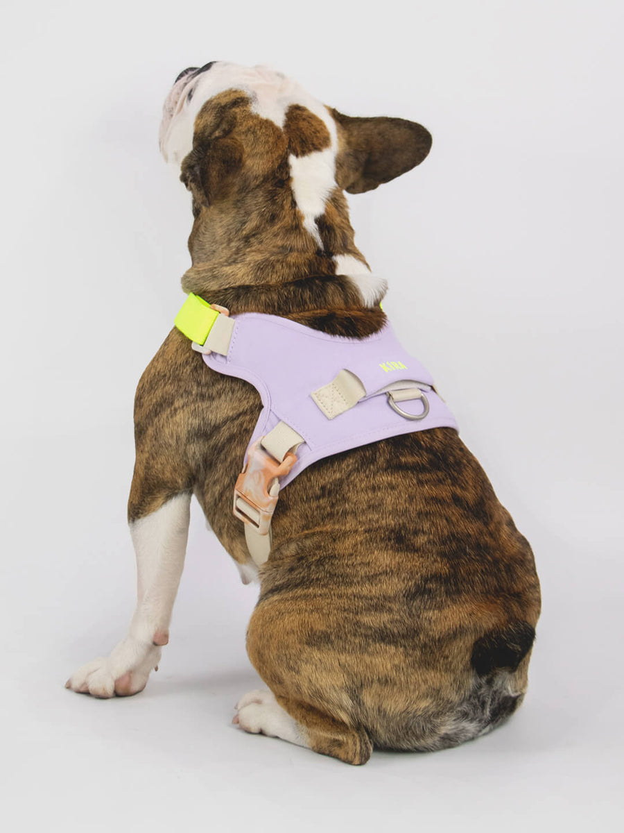 Hug Harness