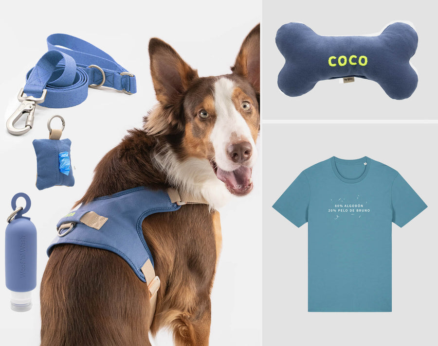 Pack paseos en familia
