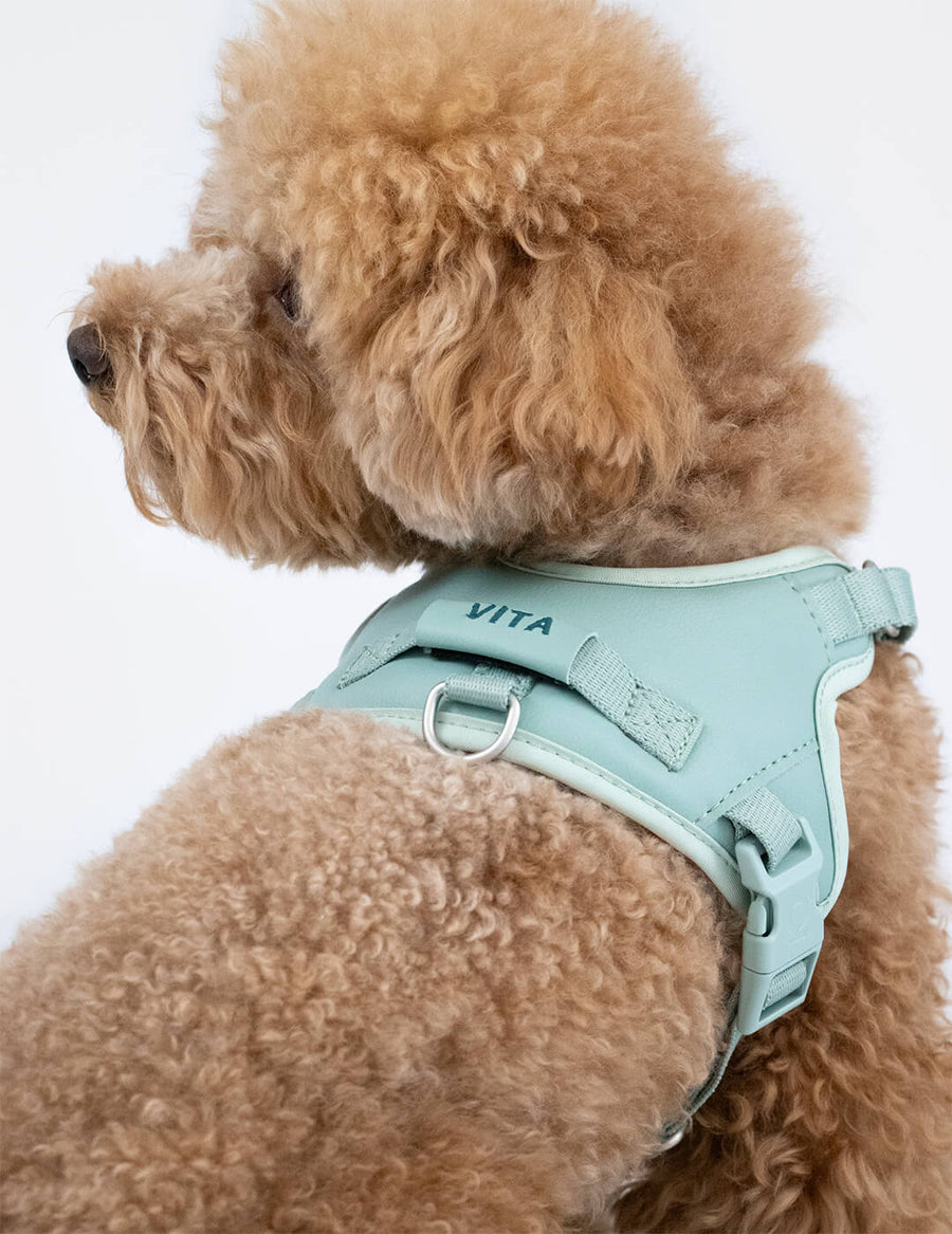 Hug Harness - Premium