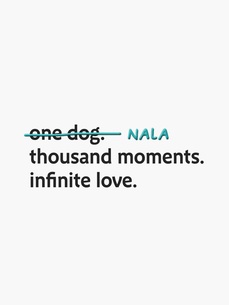 Camiseta "One dog, thousand moments, infinite love"